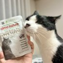 에피 | 알모네이처 하이에피타이징 신상 습식 급여 후기