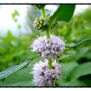 경희힘한의원 이미지