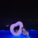 노블 루스트 이미지