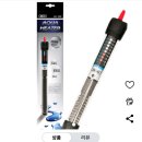 젊은열대어 이미지