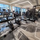 GYM FOR YOU(짐포유) 네이버블로그