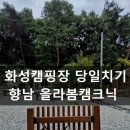 올라6 | 화성캠핑장 당일치기 향남 올라봄캠크닉 비오는날 딸이랑 바베큐 불멍 후기(내돈내산)