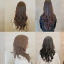 와헤어존 네이버블로그