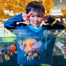 경춘북로 | 구리 아이와 가볼만한곳 대형 아쿠아카페 수풀림 주말후기