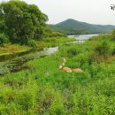 운곡농원 - 8131 | 운곡농원