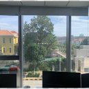 국제행정사사무소 이미지