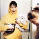 플란다스의개 이미지