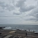 911 매일의원 이미지