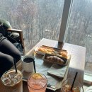 리버레인 이미지