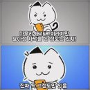 카페꽃길 이미지