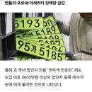 연두색 번호판 도입 후 차량 판매량 급감 이미지