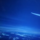 빙글독 | 자연 쉽게 보려고 하지마 - 벤쿠버편