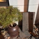 백년한옥 | 동해 묵호 삼척 숙소 백년한옥별채 2박3일 바베큐와 불멍 후기