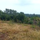 제주돌집 민박 이미지