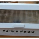 봉오초등학교 이미지