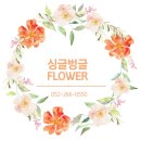 행복을주는꽃 | 꽃이 주는 행복을 만나러 울산남구달동꽃집 싱글벙글꽃집 방문후기