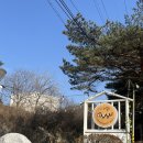 힐링카페 | 당진 애견동반카페 ‘더블유’ 정미면 힐링카페 솔직후기