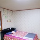 성주 산그늘펜션 이미지