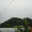 부근1리 경로당 Daum카페