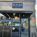 애견카페 제니콩콩 이미지