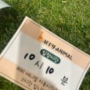 천안 아이와 함께 가 볼 만한곳 해피 애니멀(실내 동물원) 방문 후기!