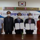 도개초교 이미지