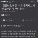 "김건희·김혜경, 서로 퉁치자…제일 쪼잔한 게 부인 정치" 이미지