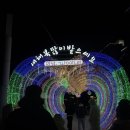 브롱스브루잉컴퍼니강문점 | [부산여행 / 광안리술집] 브롱스브루잉컴퍼니 광안리점 내돈내산 후기