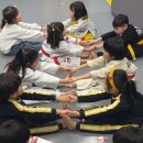 JC 태권도장 이미지