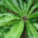 둥지광택 이미지