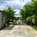탄금호 피크닉 공원 이미지