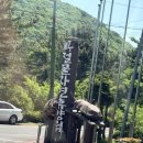 절물자연휴양림 | 제주절물자연휴양림 후기 삼나무 숲길 산책코스 제주 힐링 명소 추천