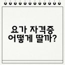 [초급] 생활요가 | 요가 자격증 어떻게 딸까?