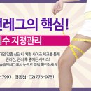 슬림앤레그 - 부산진구 서면로 67 | 슬림앤레그