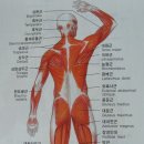 금봉안마원 이미지