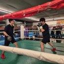 평택복싱(안중관) 이미지