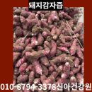 시골농장건강원
