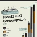 2023년 화석 연료 소비량 기준 상위 국가 이미지