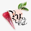 자인주 Daum카페