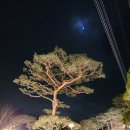 카페파노라마 이미지