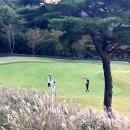 서라벌골프클럽 | 경주 서라벌 cc 3부 골프 라운딩 후기