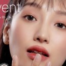 데일리브라운 이미지