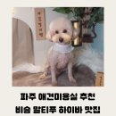 빙그루밍 이미지