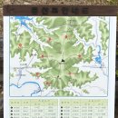 용수사 철조여래좌상 | 칠갑산 초보 등산·가족나들이(천장호 출렁다리 - 칠갑산 - 장곡사 8.4km) - 난이도·코스·주차 꿀팁