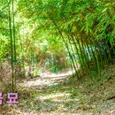 서천 이곡의 묘 이미지
