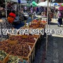 Re: 용문사 다녀오다 이미지