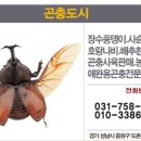 왕용농장 네이버블로그
