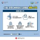 만델리나 이미지