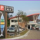 일산수산물판매센터 Daum카페