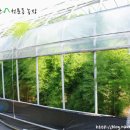 천문동 농장 이미지